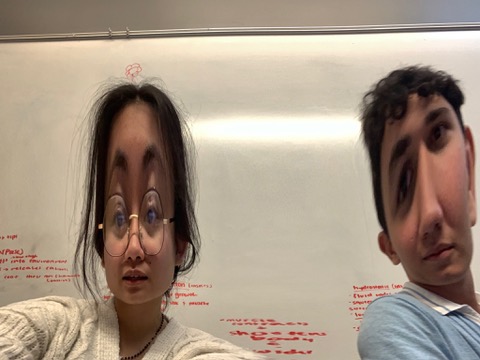 F12AB4DE-E877-4DB0-BCDC-704D02DD5AC8_4_5005_c.jpeg